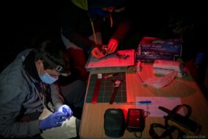 GCOI_Antoine-Ede_Table-de-manipulation