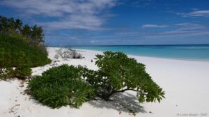 GCOI_Lorien-Boujot_Grande-Glorieuse