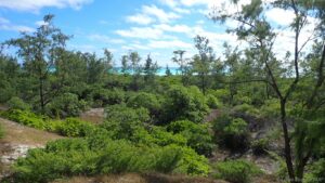 GCOI_Lorien-Boujot_Milieu-semi-ouvert-Grande-Glorieuse