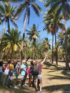 GCOI_Reine-Jacob_Animation- cocoteraie-ATE)